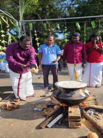 Thaipongal_Festival_2024